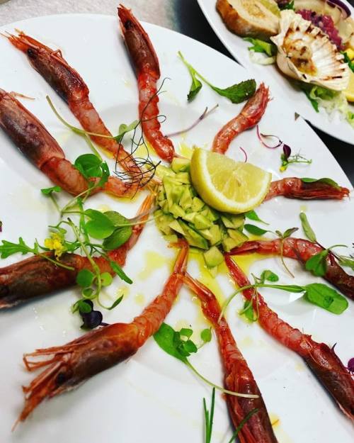 Scampi