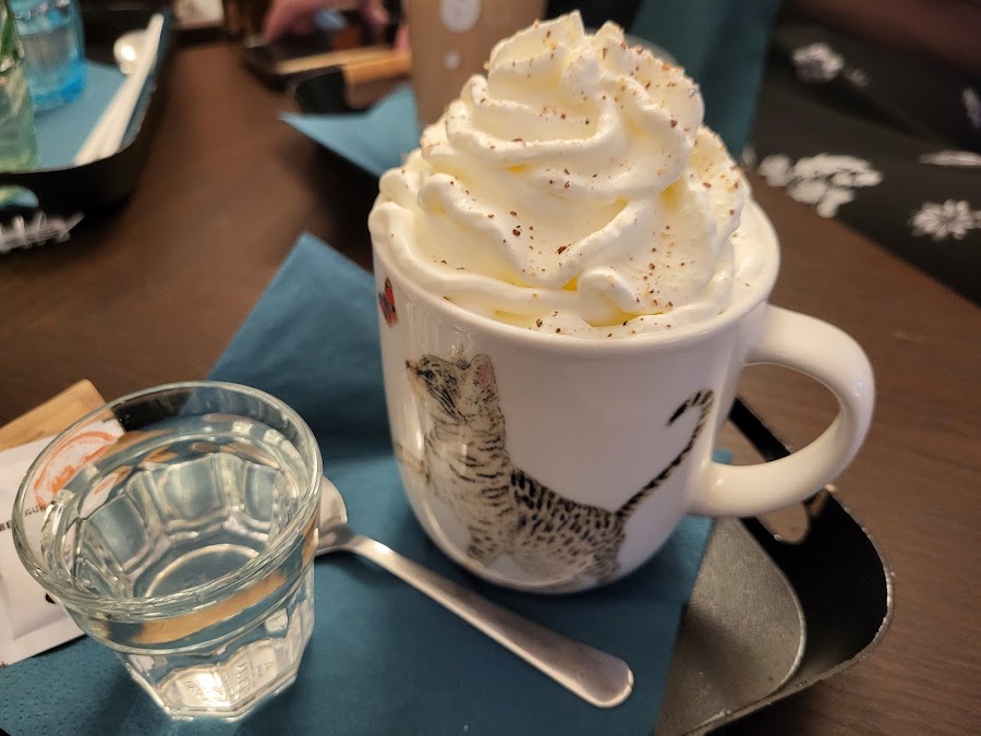 Mačkafé klub — fotka 3